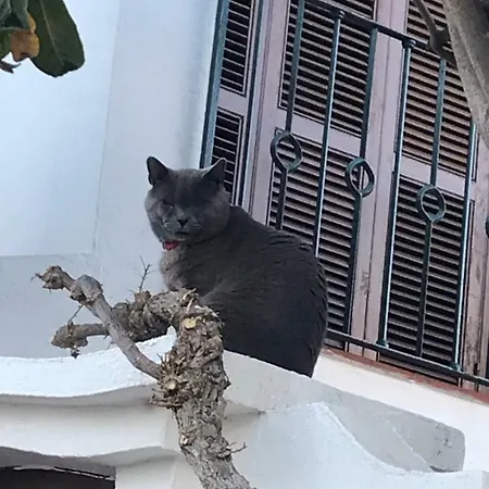 Villacana,malaga.